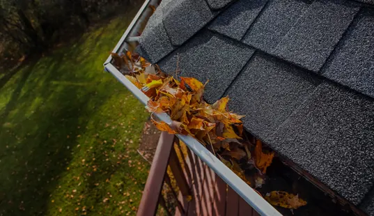 Gutter Cleaning, Cherry Hill, NJ